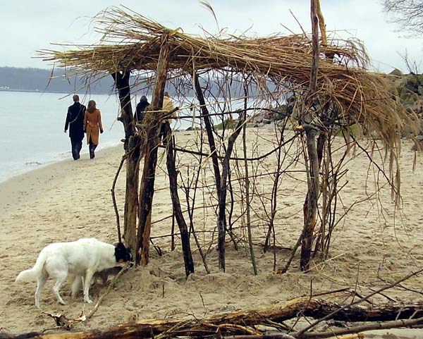 Jan016.jpg