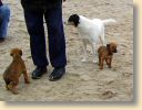 Strand011.jpg
