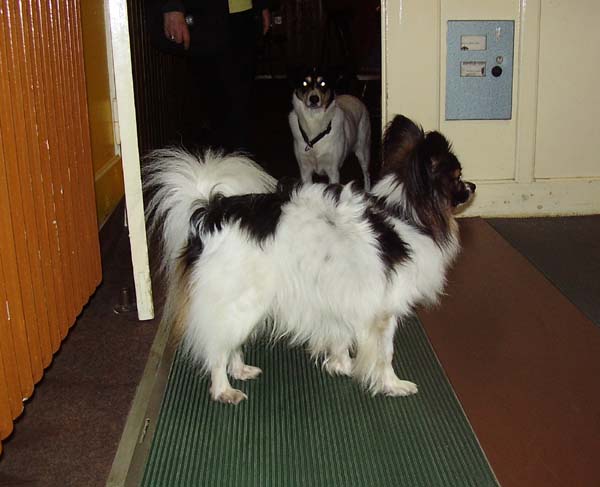 Kegeln018.jpg