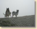 P1010005.JPG