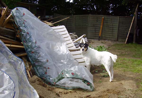 Garten008.jpg