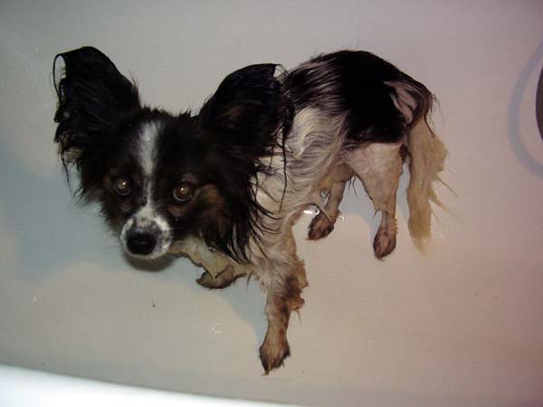 Fotos007.jpg