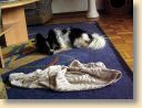 Fotos011.jpg