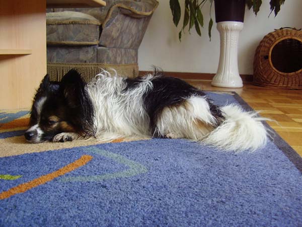 Fotos012.jpg