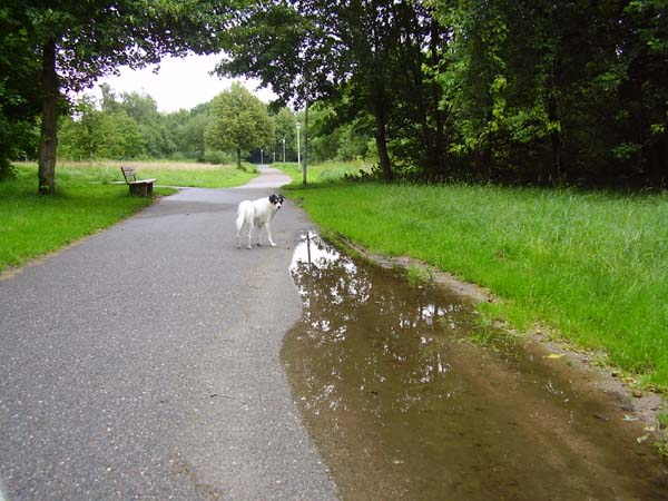 Fotos015.jpg