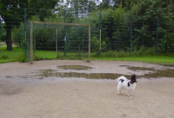 Fotos016.jpg