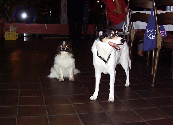 220807_067.jpg