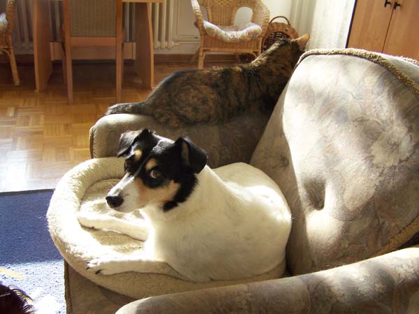 2709_002.jpg