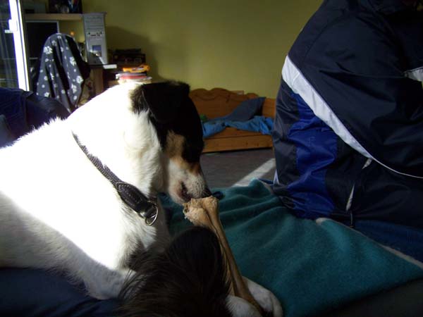 1810_005.jpg