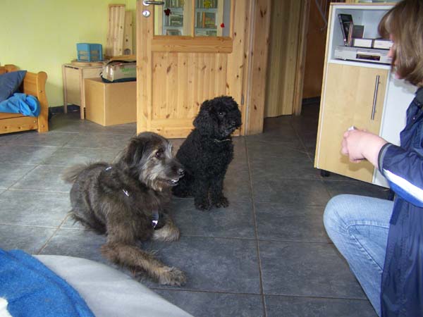 1810_007.jpg