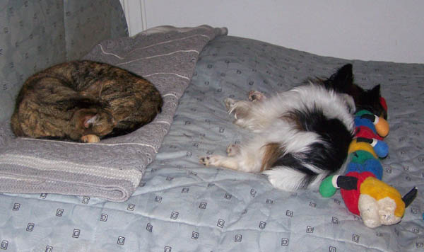 261107_001.jpg